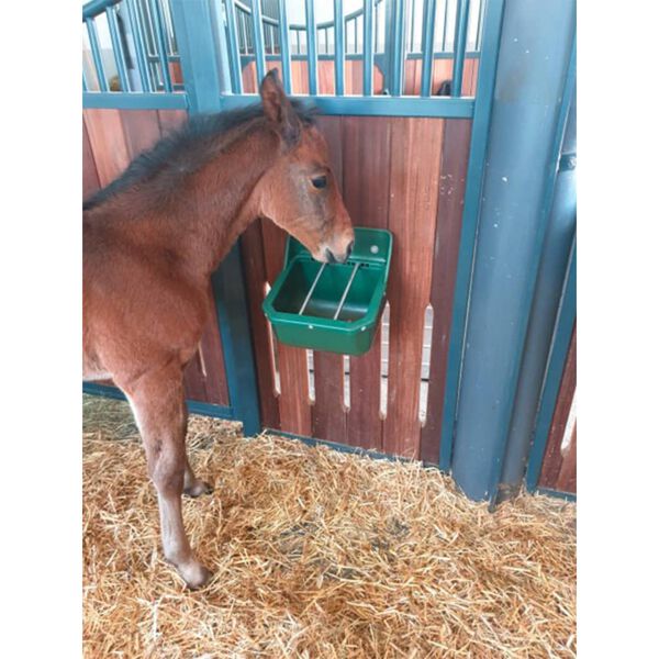 Kerbl Foal Trough Green 9 L 32465