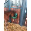 Kerbl Foal Trough Green 9 L 32465