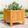 vidaXL Garden Planter with Liner 31x31x30 cm Solid Wood Acacia