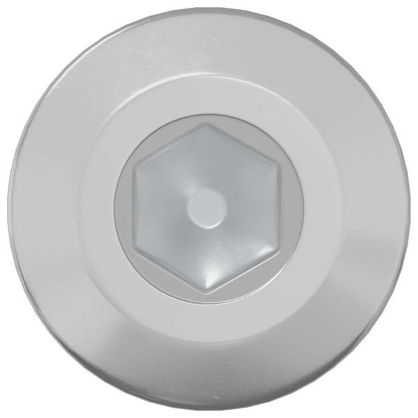 vidaXL Screw 2 pcs Silver M6 x 85 mm Steel