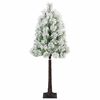 Product Thumbnail Image 5 of 13