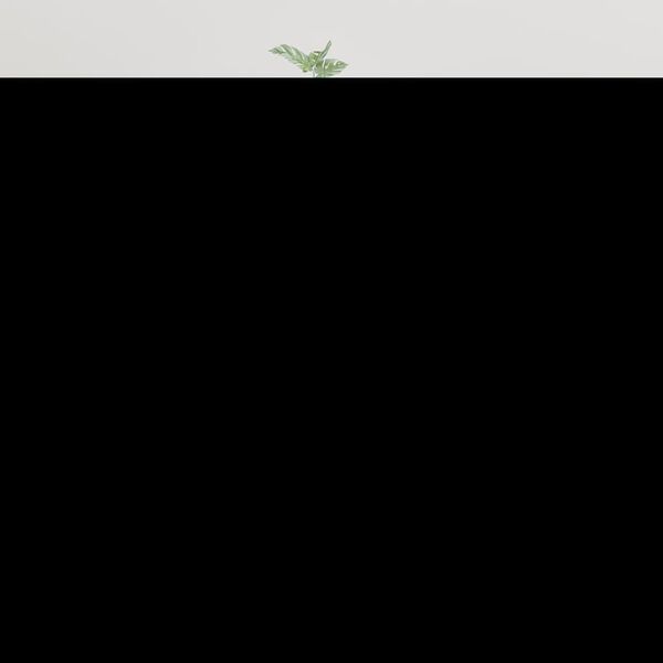 vidaXL Wall Mounted TV Cabinet High Gloss White 40x34,5x80 cm