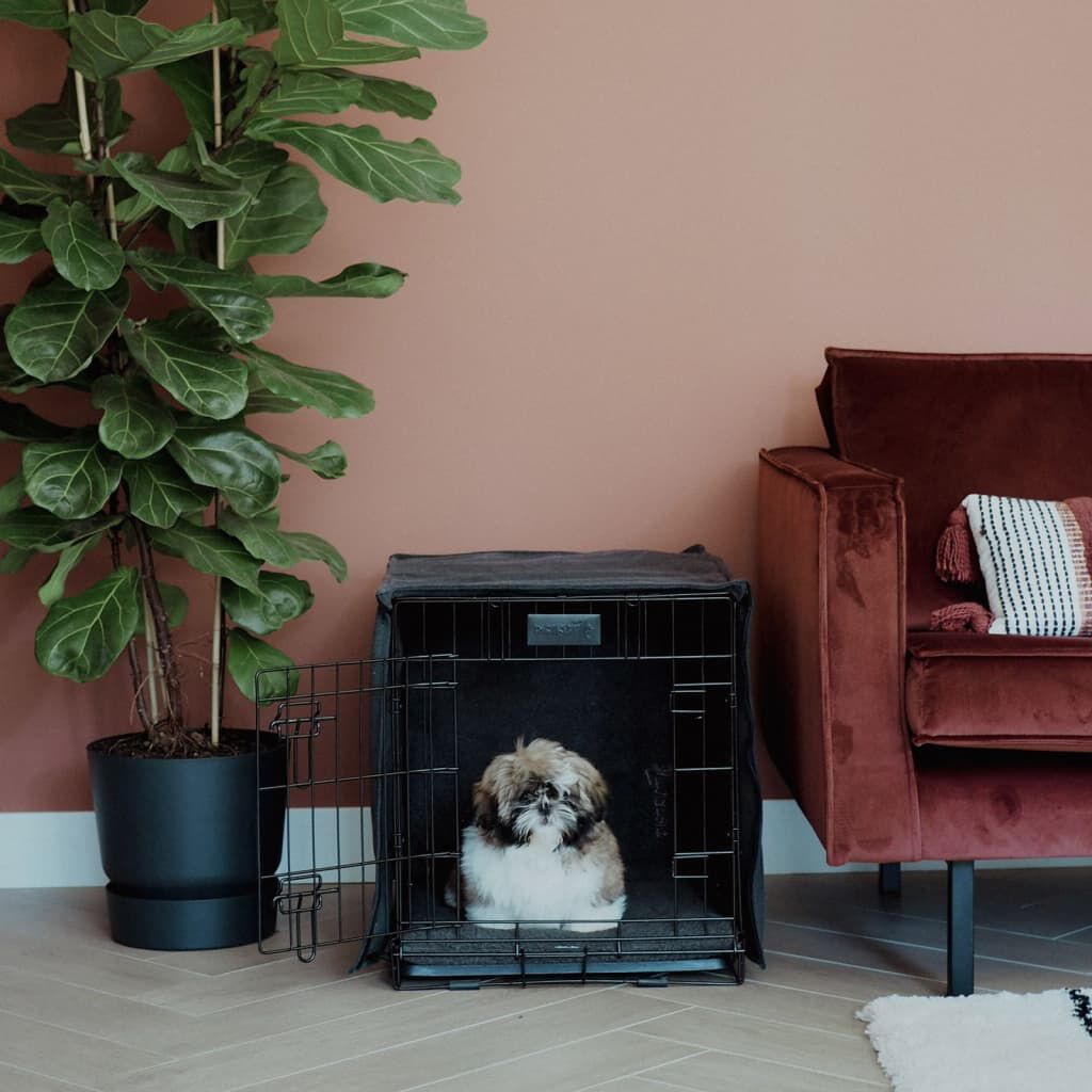 Jax and bones crate cover top