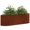 Product Thumbnail Image 2 of 9
