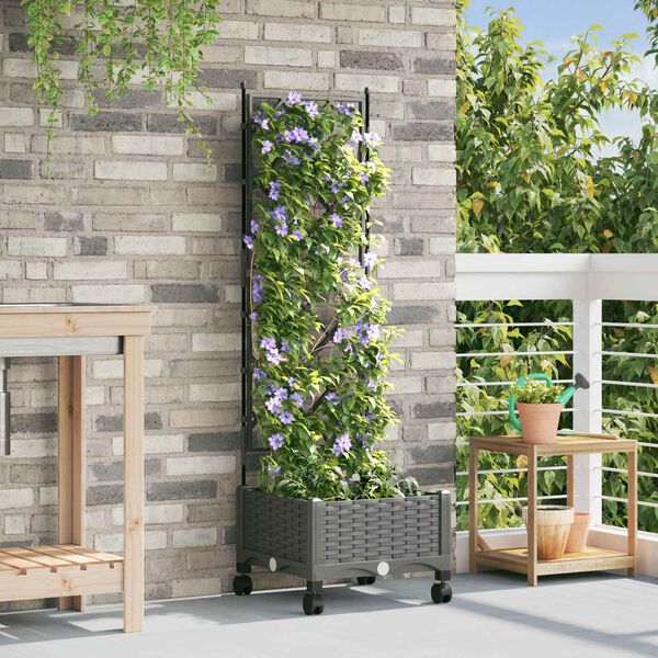 Showing Product Image 2 of 7