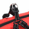 Product Thumbnail Image 9 of 10