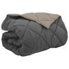 vidaXL Winter Duvet 200 x 240 cm 450 gsm Microfiber (100% Polyester)