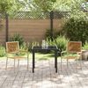 vidaXL Garden Stacking Chairs 2 pcs Brown and Beige