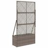 Product Thumbnail Image 6 of 11