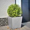 Product Thumbnail Image 2 of 11