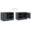 vidaXL TV Cabinet Anthracite 67x39x44 cm Steel
