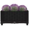 Product Thumbnail Image 6 of 8