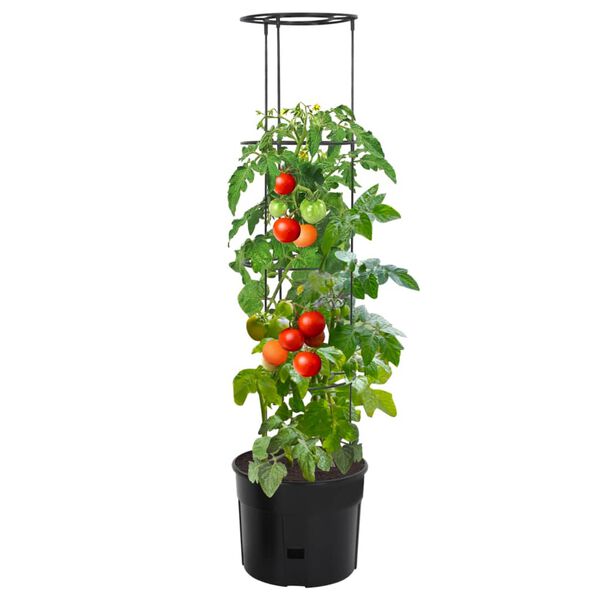 vidaXL Tomato Grower Anthracite &Oslash;39x150 cm Polypropylene
