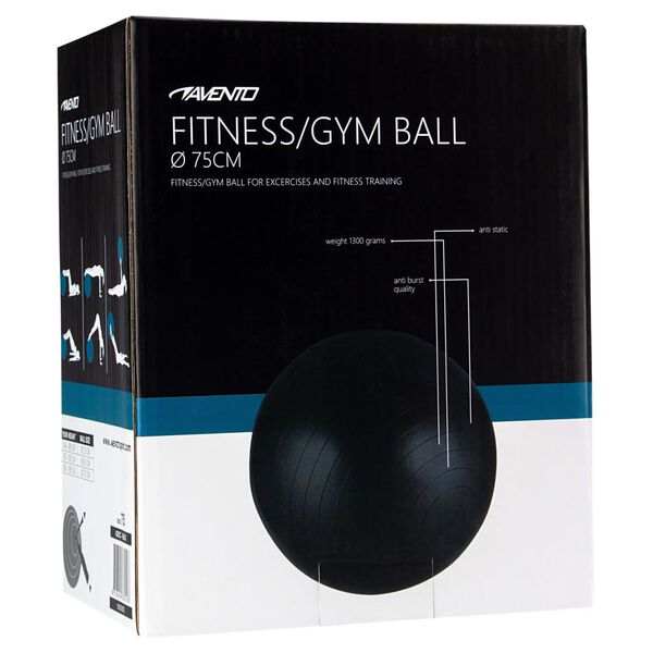 Avento Fitness/Gym Ball Dia. 75 cm Black