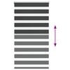 Product Thumbnail Image 5 of 16