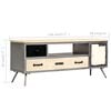 vidaXL TV Cabinet Solid Mango Wood and Steel 120x30x45 cm