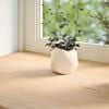 vidaXL Window Sills 2 pcs&nbsp;Untreated 110x15x2 cm Solid Wood Oak