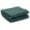 vidaXL Tent Carpet Green 5x2.5 m
