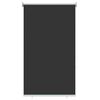 vidaXL Outdoor Roller Blind 65(W)x230(H) cm Anthracite