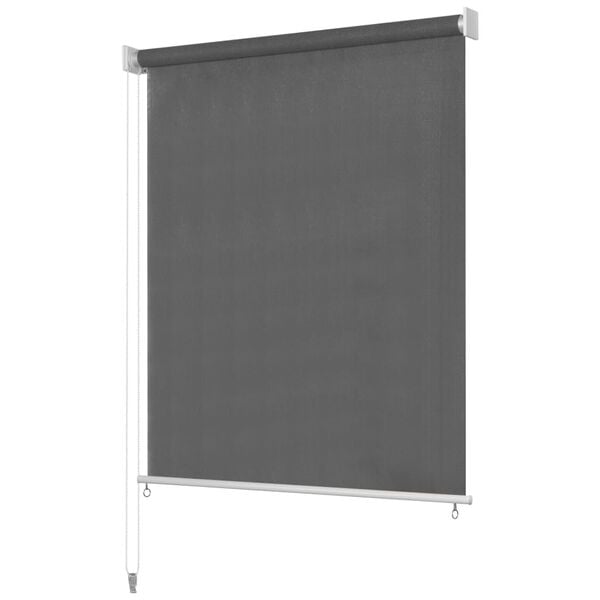 vidaXL Outdoor Roller Blind 300x140 cm Anthracite