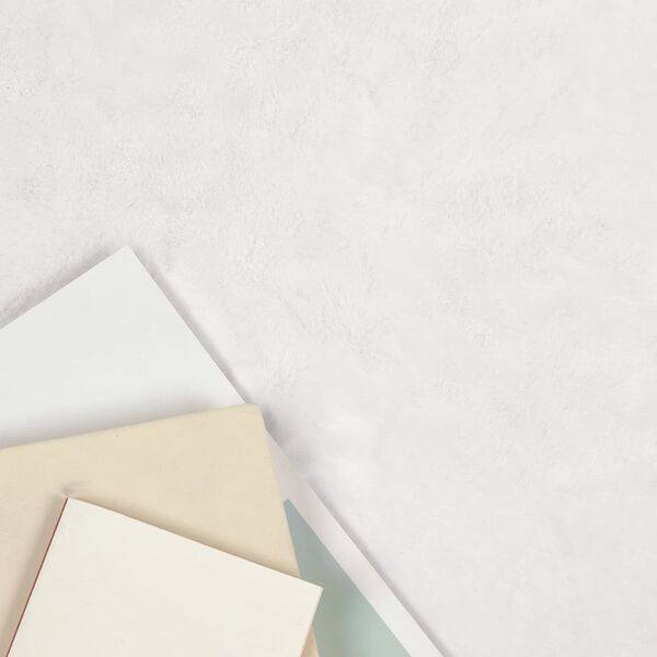 vidaXL Faux Rabbit Fur Rug Olite White 60 x 90 cm Polyester