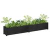 vidaXL Garden Planters 2 pcs Black 200x31x31 cm Solid Pinewood