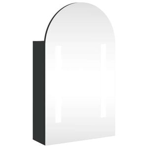 vidaXL Bathroom Mirror Cabinet with LED Light Arched Black 42x13x70 cm