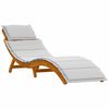 vidaXL Sun lounger 2 pcs Light Grey 184 x 55 x 64cm Solid Acacia wood