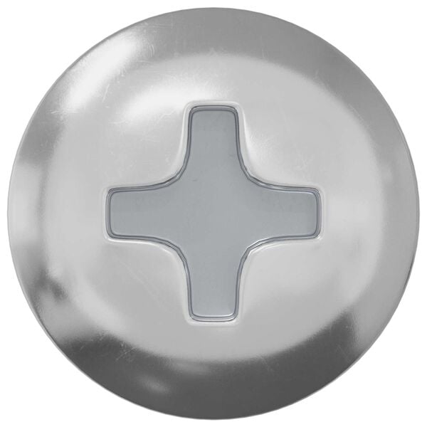 vidaXL Wood Screws 2 pcs Silver M4 x 20 mm Steel