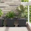 Product Thumbnail Image 2 of 10