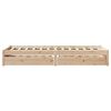 vidaXL Bed Frame without Mattress 100x200 cm Solid Wood Pine