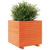 vidaXL Garden Planter Wax Brown 50x50x49.5 cm Solid Wood Pine