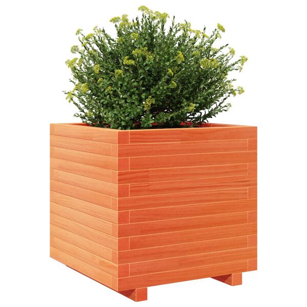 vidaXL Garden Planter Wax Brown 50x50x49.5 cm Solid Wood Pine