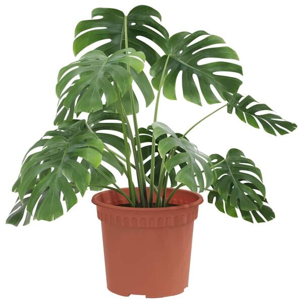 vidaXL Round Flower Pot 6 pcs Brick Red &Oslash; 12.5 x 10 cm Plastic