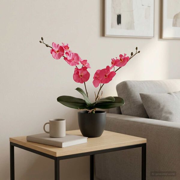 Showing Product Image 2 of 5