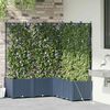 Product Thumbnail Image 3 of 8
