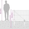 Product Thumbnail Image 17 of 17
