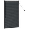 vidaXL Window Blind with Curtains Manual Black Aluminium