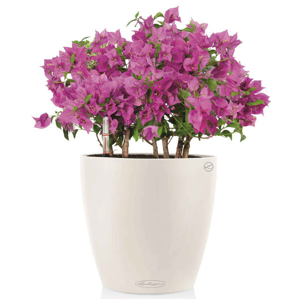 LECHUZA Planter Classico Color 43 ALL-IN-ONE White 13230