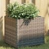 Product Thumbnail Image 2 of 12