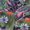 DUTCH WALLCOVERINGS Wallpaper Passion Flower Navy and Green