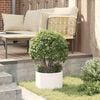 vidaXL Garden Planter 5 pcs White 30 x 30 x 20 cm Cold-rolled Steel