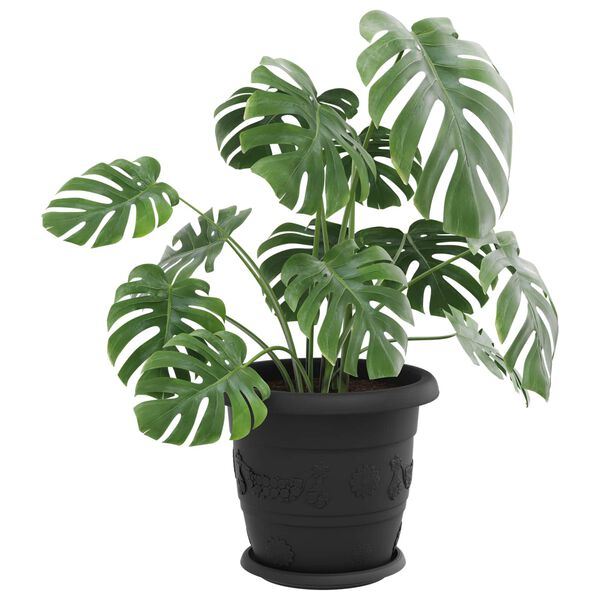 Showing Product Image 3 of 12