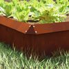 Product Thumbnail Image 3 of 12