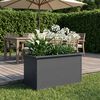 Product Thumbnail Image 3 of 13