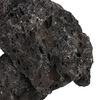 vidaXL Volcanic Rocks 25 kg Black 10-30 cm