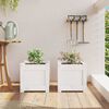 Product Thumbnail Image 3 of 12