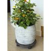 Nature Plant Trolley Round &Oslash;30 cm Anthracite Wood