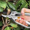 GR&Uuml;NTEK Garden Shears CONDOR with Automatic Ratchet 200 mm