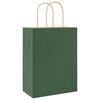 vidaXL Paper Bags 250 pcs with Handles Green 21x11x28 cm